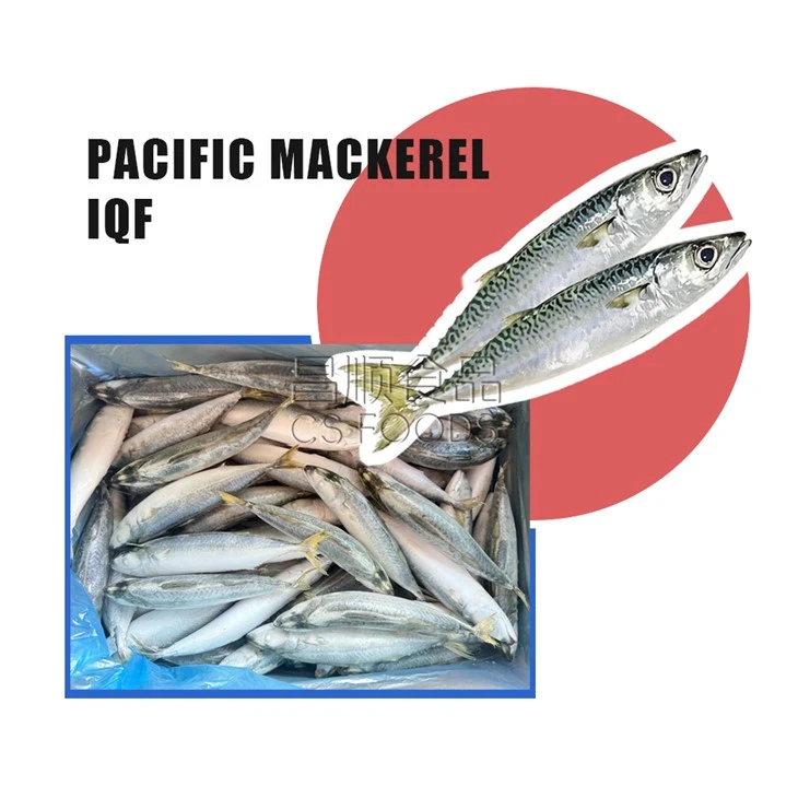 Frozen Saba Fish