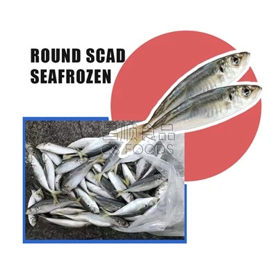 Seafrozen Round Scad