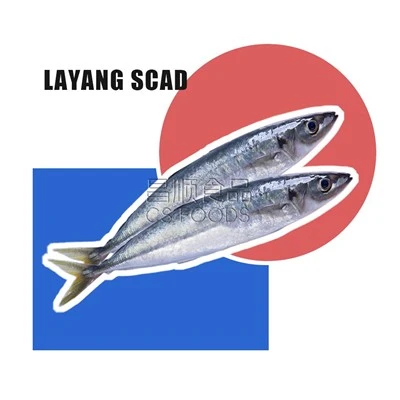 المجمدة Layang Scad