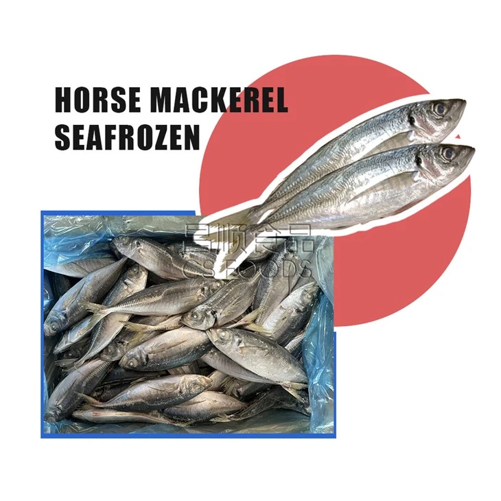 WR Seafrozen Horse Mackerel